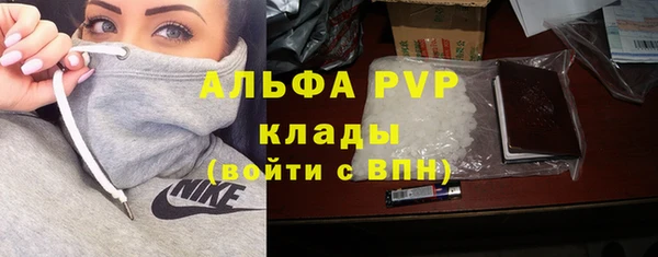 твердый Абаза