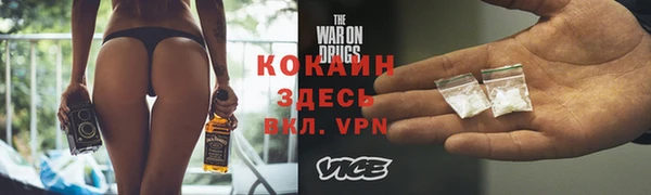 стаф Россошь