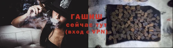 стаф Россошь