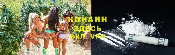 твердый Абаза