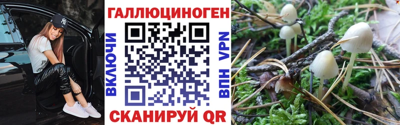 Псилоцибиновые грибы прущие грибы blacksprut ссылки Усолье как найти